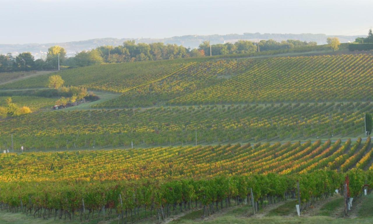 Pujols  Romantic Gite Nr St Emilion With Private Pool And Views To Die For מראה חיצוני תמונה