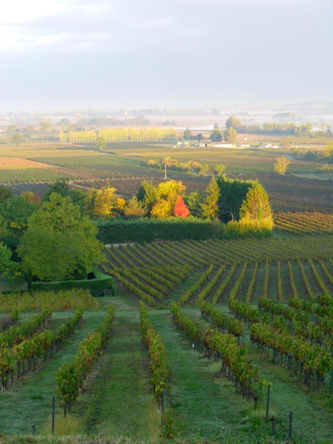 Pujols  Romantic Gite Nr St Emilion With Private Pool And Views To Die For מראה חיצוני תמונה