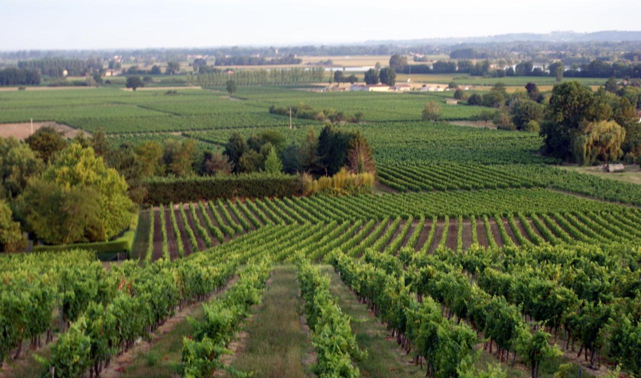 Pujols  Romantic Gite Nr St Emilion With Private Pool And Views To Die For מראה חיצוני תמונה